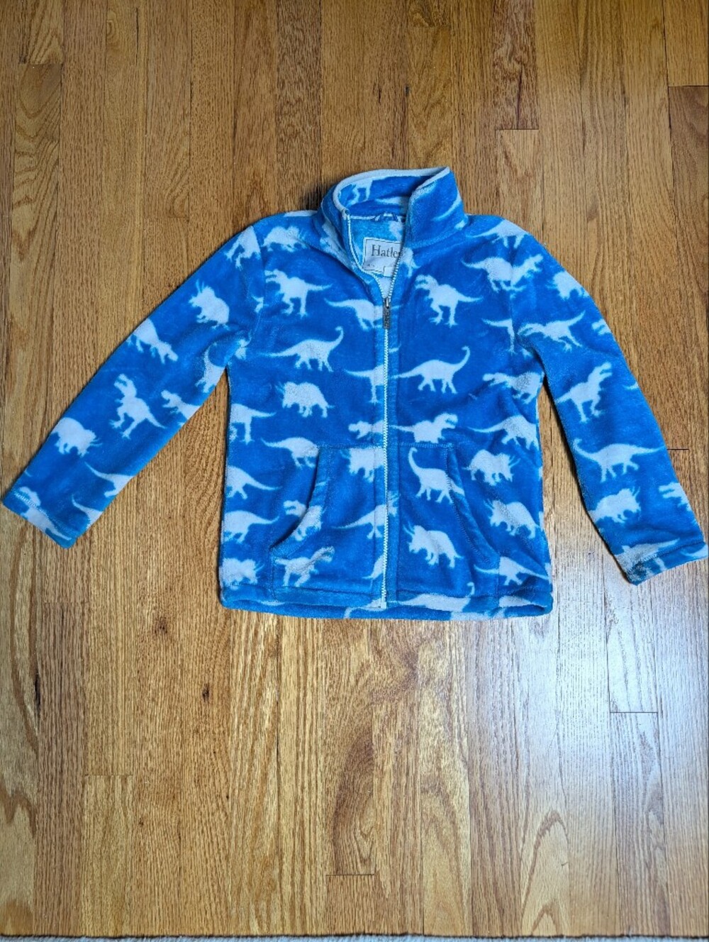 Blue Dinosaur Fleece Jacket (Kids' Size 7)